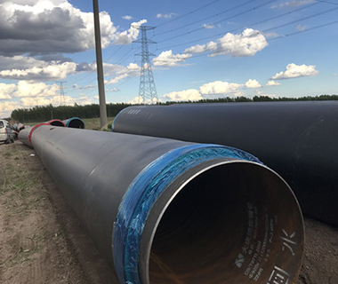 大慶高新區(qū)風電高端制造產業(yè)基地及研究**基礎設施配套項目一二期供熱工程